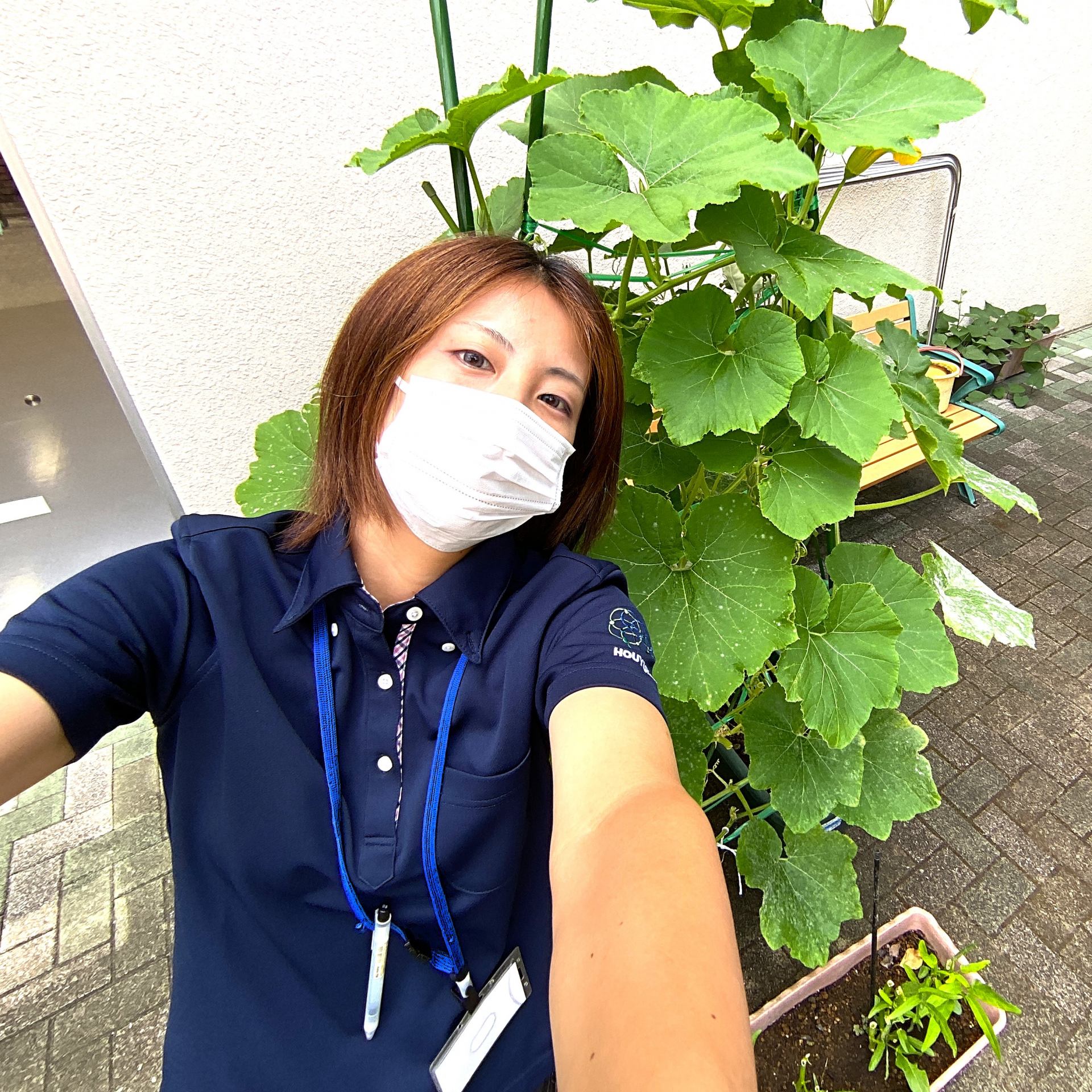 かぼちゃと吉田