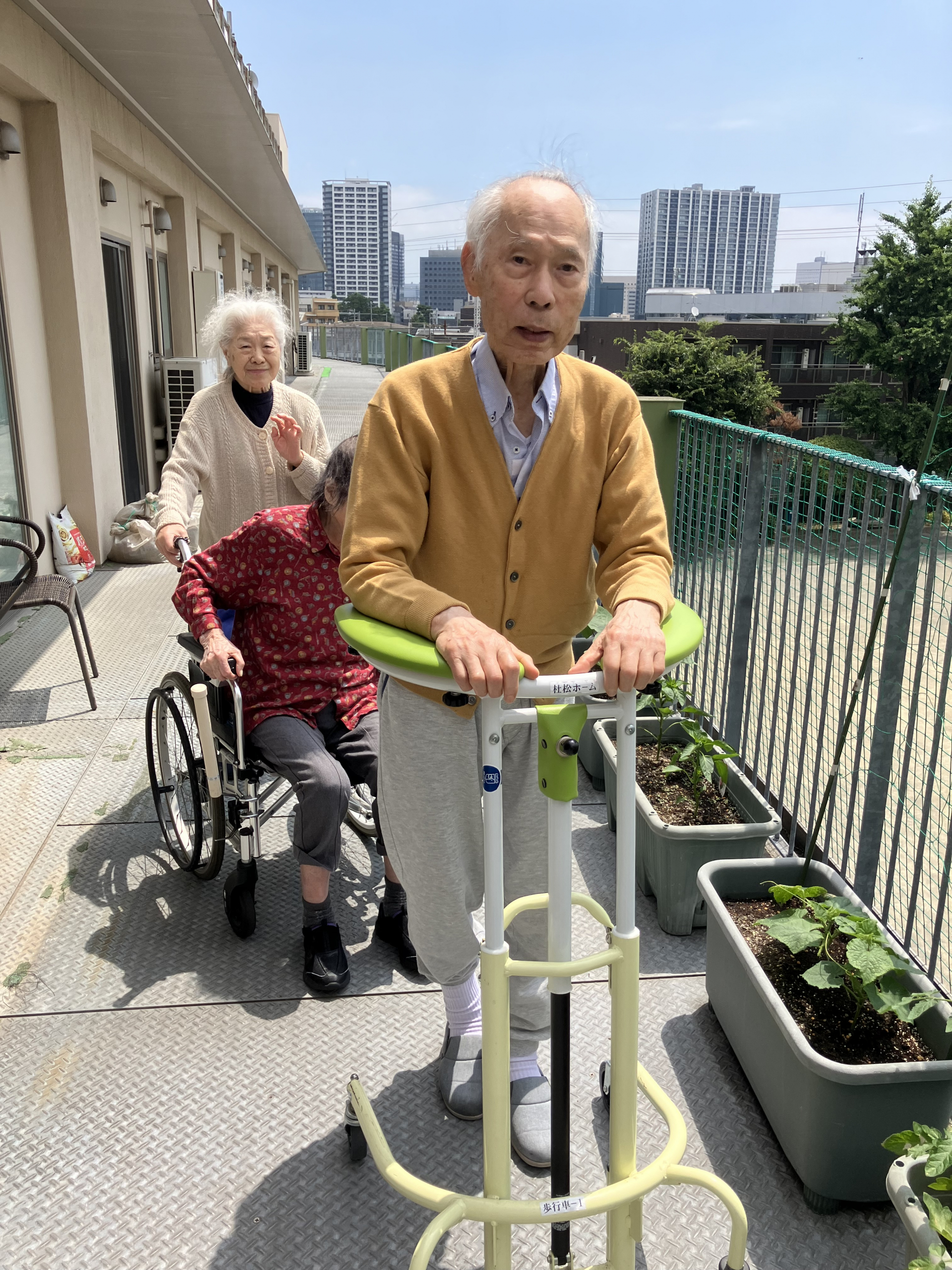 家庭菜園