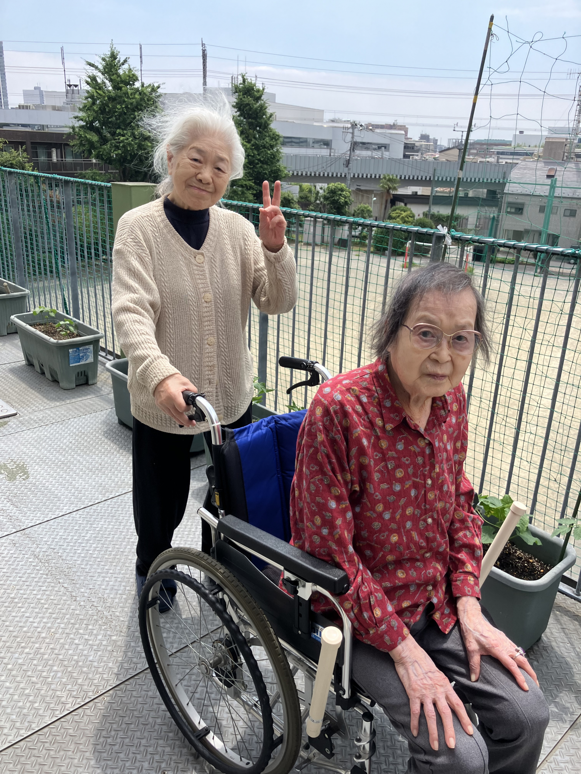 家庭菜園