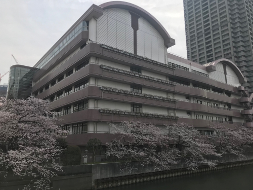 大きい綺麗な建物です