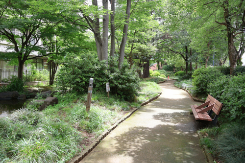 せせらぎ敷地内