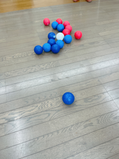 ボッチャ