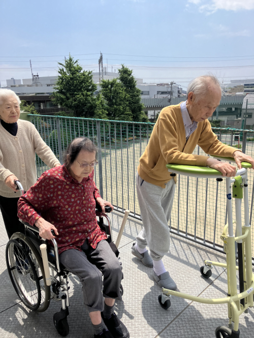 家庭菜園